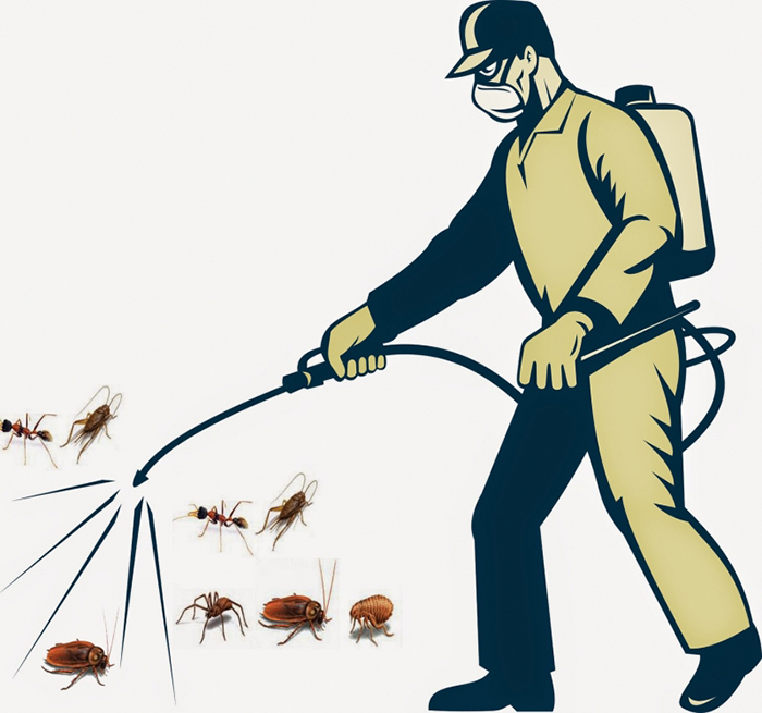 Dịch vụ diệt côn trùng, phun muỗi diệt mối