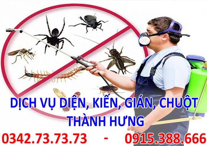 Dịch vụ diệt, kiến, gián, mối, chuột