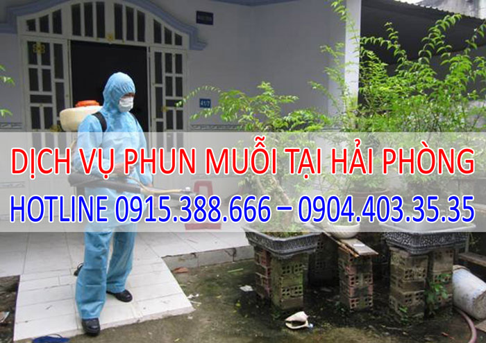 Dịch vụ phun muỗi tại Hải Phòng giá rẻ