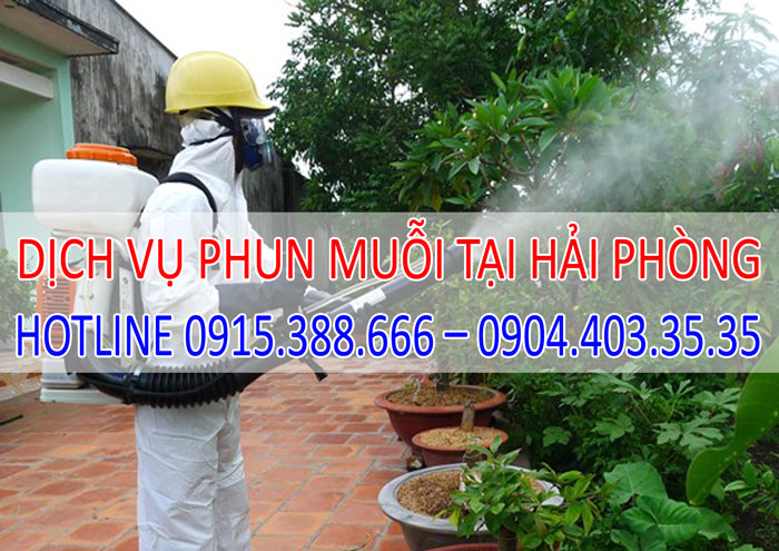 Dịch vụ phun muỗi tại Hải Phòng