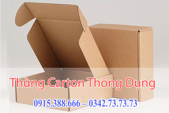 Thùng carton có nắp gài