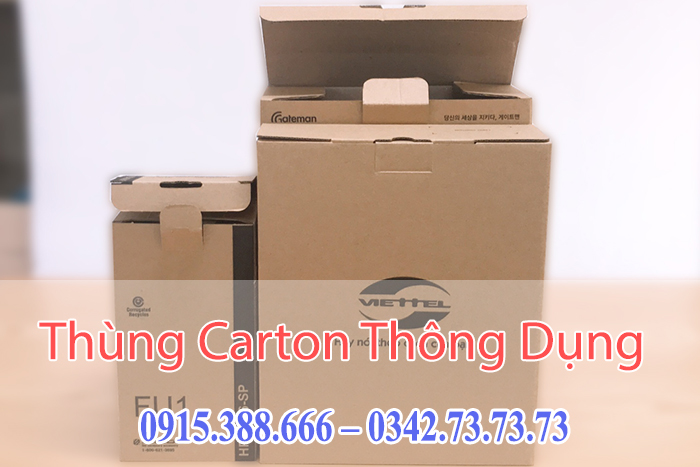 Các loại thùng carton dùng khuôn b�?riêng